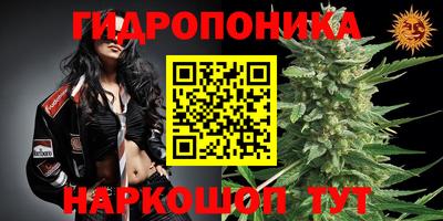 крисы Сланцы