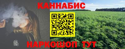 дмт Славгород