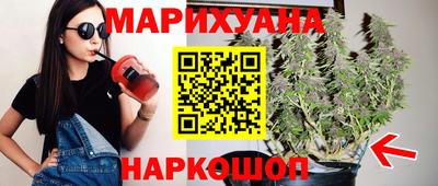 дмт Славгород
