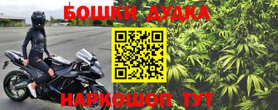 крисы Сланцы