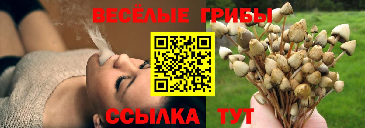 Новороссийск  Галлюциногенные грибы GOLDEN TEACHER  где купить   Вход с VPN 
