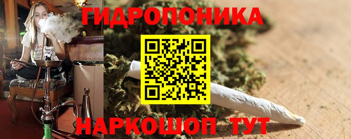 Шишки марихуана сатива  Вход с VPN  Новороссийск  Канабис план  Шишки марихуана OG Kush 